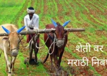 शेती वर मराठी निबंध Agriculture Essay In Marathi