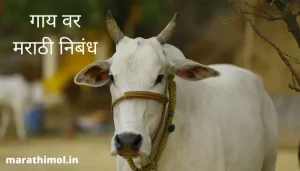 गाय वर मराठी निबंध Essay On Cow In Marathi