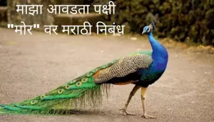 माझा आवडता पक्षी "मोर" वर मराठी निबंध Essay On Peacock In Marathi