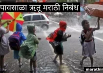 पावसाळा ऋतू मराठी निबंध Rainy Season Essay In Marathi