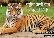 राष्ट्रीय प्राणी वाघ वर मराठी निबंध Essay On Tiger In Marathi