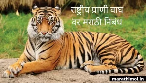 राष्ट्रीय प्राणी वाघ वर मराठी निबंध Essay On Tiger In Marathi