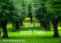 झाड वर मराठी निबंध Best Essay On Tree In Marathi