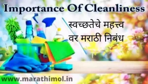 स्वच्छतेचे महत्त्व वर मराठी निबंध Essay On Importance Of Cleanliness In Marathi