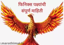 फिनिक्स पक्ष्यांची संपूर्ण माहिती Finix Bird Information In Marathi