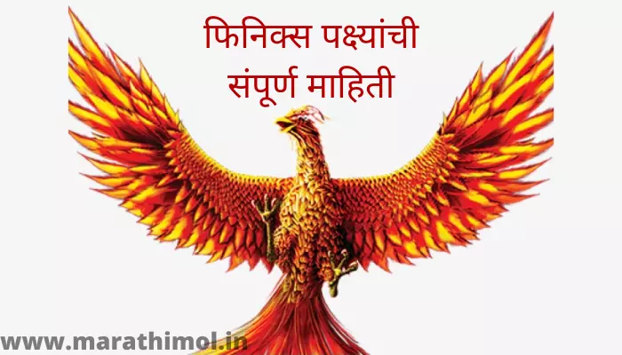 Finix Bird Information In Marathi