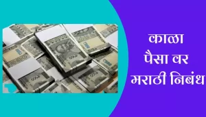 Essay On Black Money In Marathi