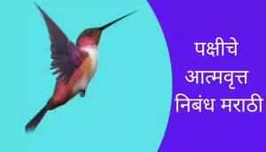 Autobiography Of A Bird Essay In Marathi