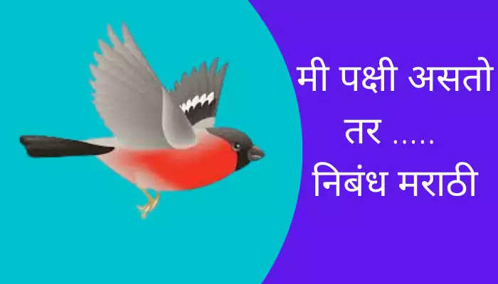 If I Were A Bird Essay In Marathi