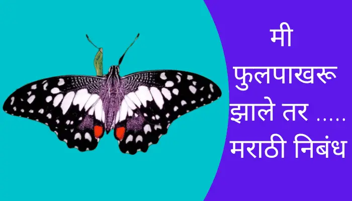  If I Were A Butterfly Essay In Marathi