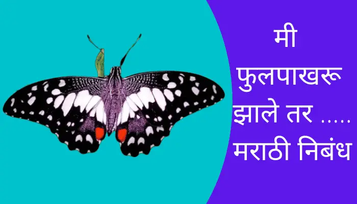 If I Were A Butterfly Essay In Marathi