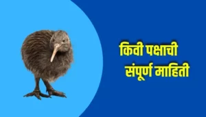 Kiwi Bird Information In Marathi