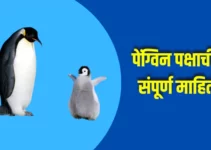 पेंग्विन पक्षाची संपूर्ण माहिती Penguin Bird Information In Marathi