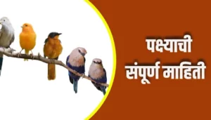 Birds Information In Marathi