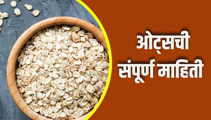 Oats Information In Marathi